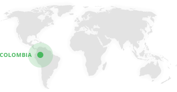 carte du monde