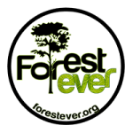 logo FORESTEVER
