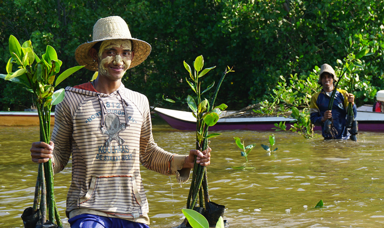 Plantation de mangroves avec l'aide des populations locales